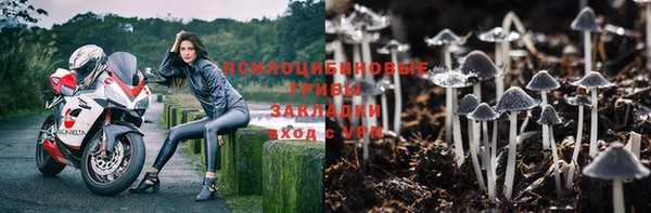 альфа пвп Осинники