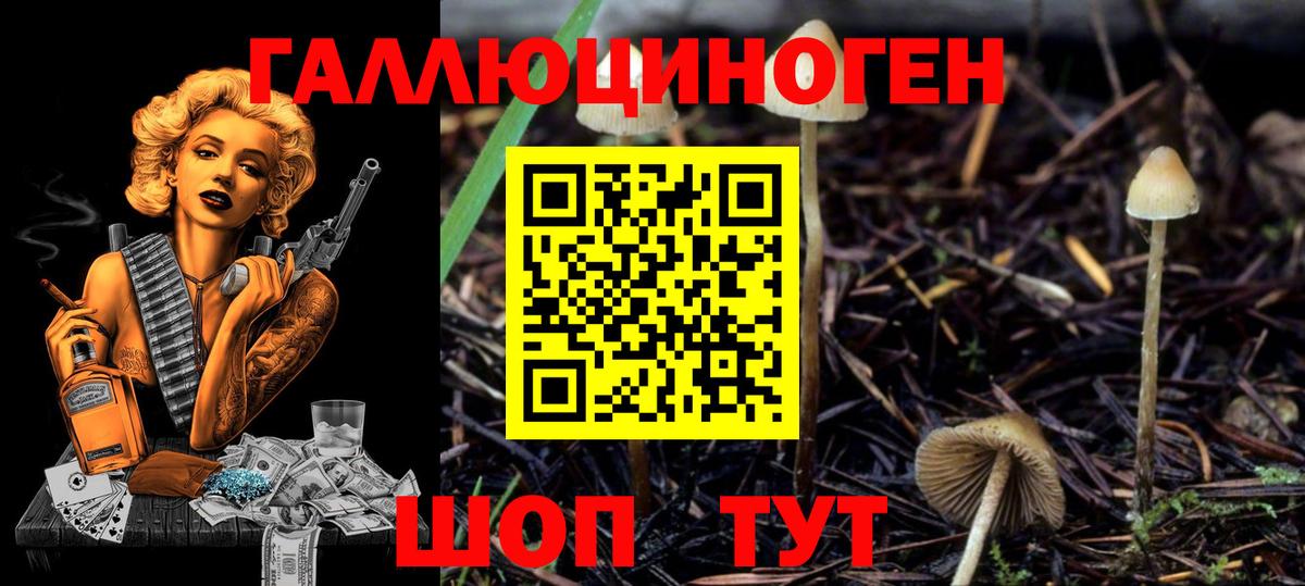 Кизляр  Галлюциногенные грибы Magic Shrooms  Вход с VPN 